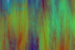 Farn-Fantasie