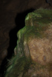 06_Neanderthjaler