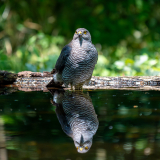 01Schoenes_Wetter_heute