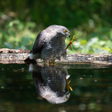 02Die_Naegel_muesste_ich_mal_machenss