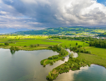 NSC-Fruehling-hoch-oben