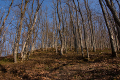 Oberprechtal-Wanderung-002