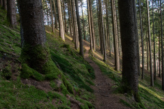 Oberprechtal-Wanderung-003