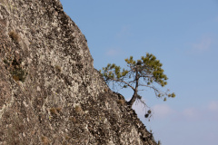 Oberprechtal-Wanderung-005