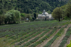 Provence-Kloster-Senanque-A