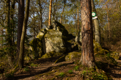 Dambach-La-Ville-021