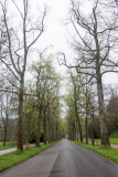 Baden-Baden-029
