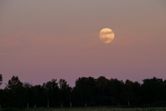 7-am-Abend-der-Supermond-22