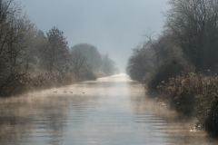 22-01-04-Petite-Camargue-