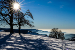 22-01-06-bei-den-Wetterbuchen