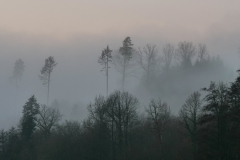 22-01-09-Januar-Nebel-