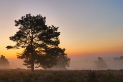 1-vor-Sonnenaufgang