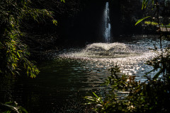 Springbrunnen_Badenweiler