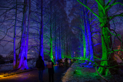 Mainau-Christmas-Garden-2026-011