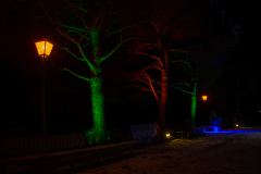 Mainau-Christmas-Garden-2026-035
