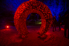 Mainau-Christmas-Garden-2026-040