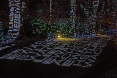 Mainau-Christmas-Garden-2026-063