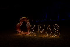 Mainau-Christmas-Garden-2026-064