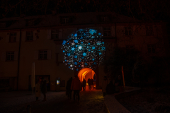 Mainau-Christmas-Garden-2026-068