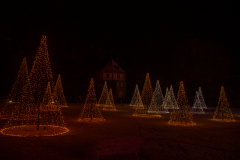 Mainau-Christmas-Garden-2026-090