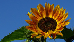 3.Farbenspiel