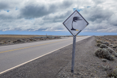 HPD-02-Verkehrsschild-in-Patagonien