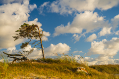Nici-Starksturm-Strand