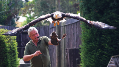 Vogelpark-Steinen-04