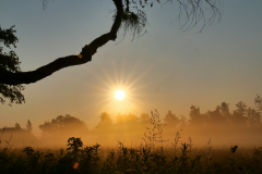 Krebs-A-1-Nebel-ueber-dem-Federseemoor-002