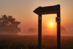 Krebs-A-2-Nebel-in-der-Mehlinger-Heide-001