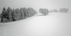 MartinaK_Schauinsland