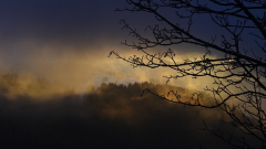 RDU-Winternebel-am-Stohren
