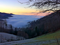 RHA-Kohlerhof-b