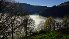 RME-Nebel-zieht-ins-Tal