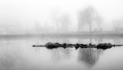 Sibylle-Nebel-am-See