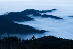 Sibylle-Nebel-im-Tal