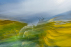 03_IMG_8813