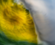 05_IMG_8827