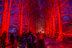 Knobel-Mainau-Christmas-Garden-013-1