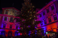 Knobel-Mainau-Christmas-Garden-013-3