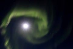 Polarlichter-Foto-M.Schlatterer-LR-28