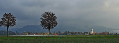 RMEschoenes-Lichtbea