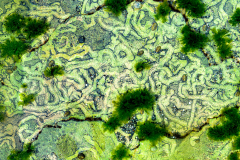 Unterwasserspur-von-Kaeferschnecken-HPD