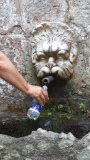 Siggi-Wasserspende