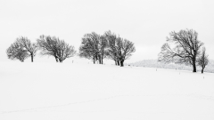 MSA-am-Schauinsland-Apr2024