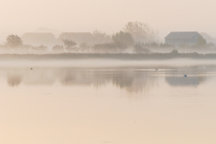 Schindl-Er-Fehmarn