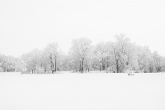 Sibylle-3