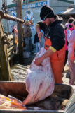 Krebs-A-Harte-Arbeit-in-einem-Fischereihafen-in-Alaska