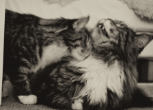 MartinaK_beste-Freunde