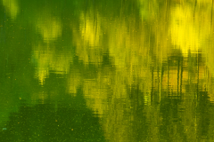 SEW-Spiegelung-am-See
